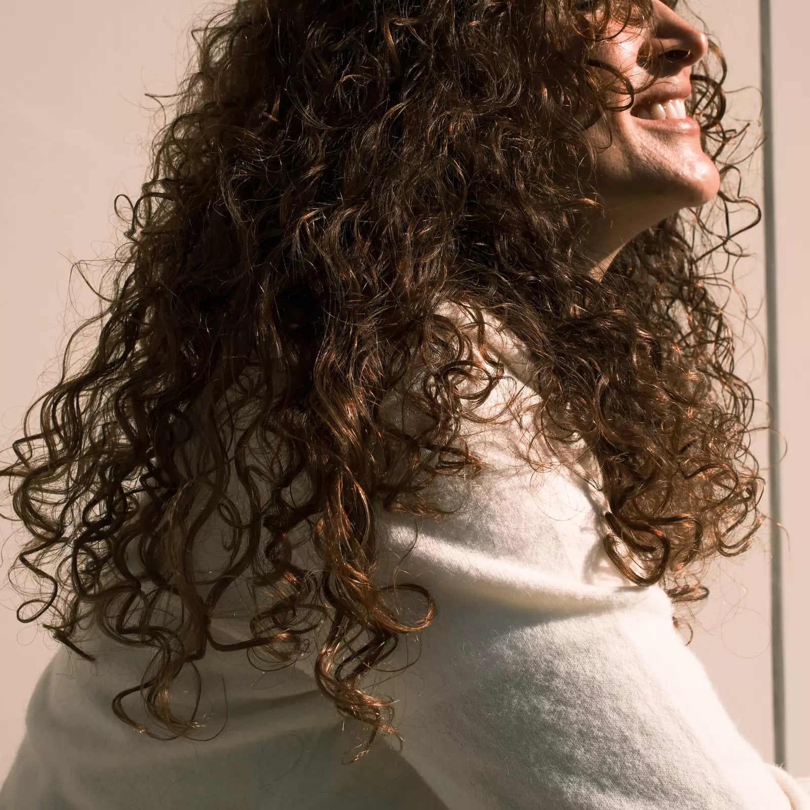 N°31 - CURLS AMPLIFIER